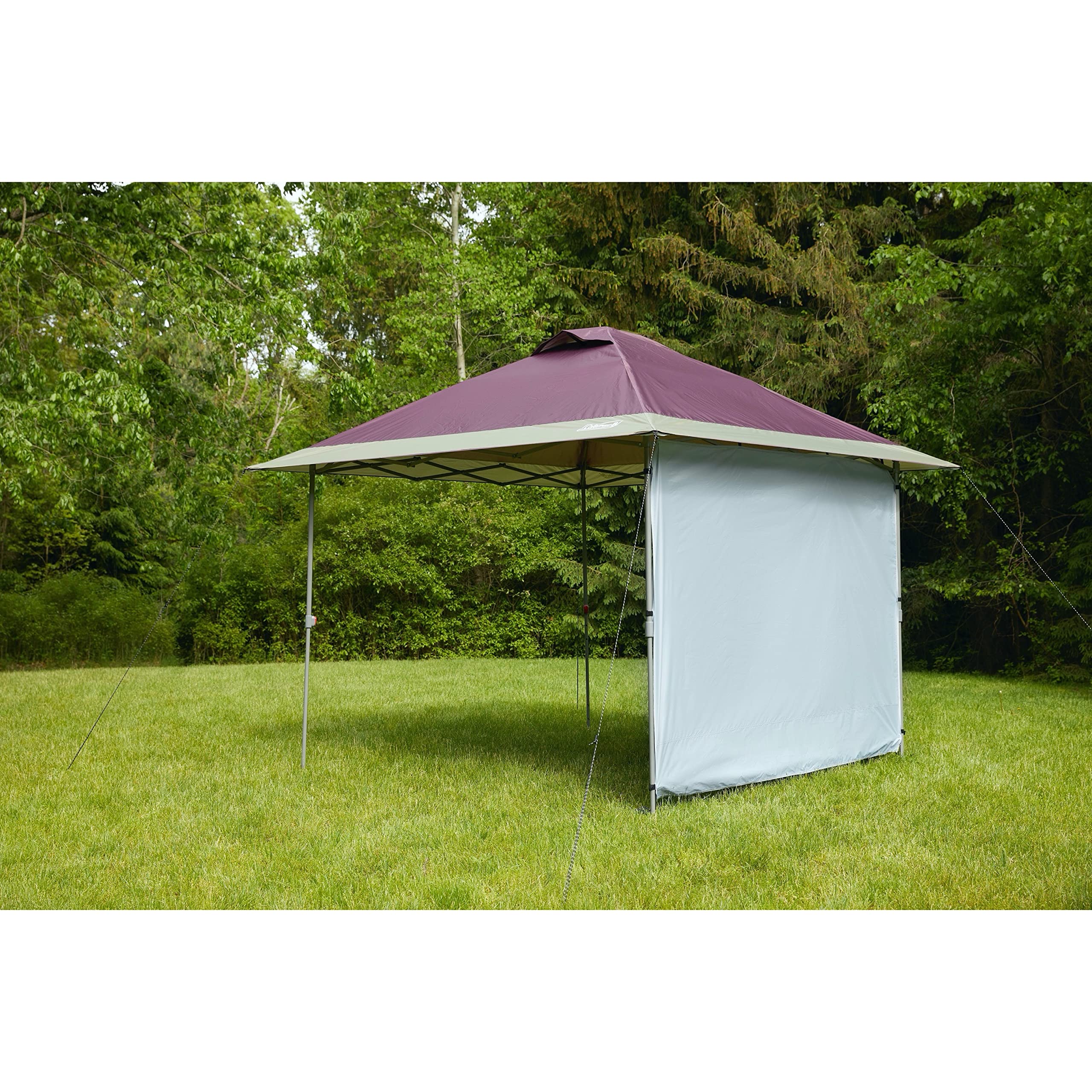 Coleman Canopy Oasis Wall Accessory, Sun/Wind/Rain Blocker for Coleman Oasis Shelters, Attaches to Side of Canopy Tents, Great for Campsite, Park, Backyard, Tailgates, Beach, Festivals, & More