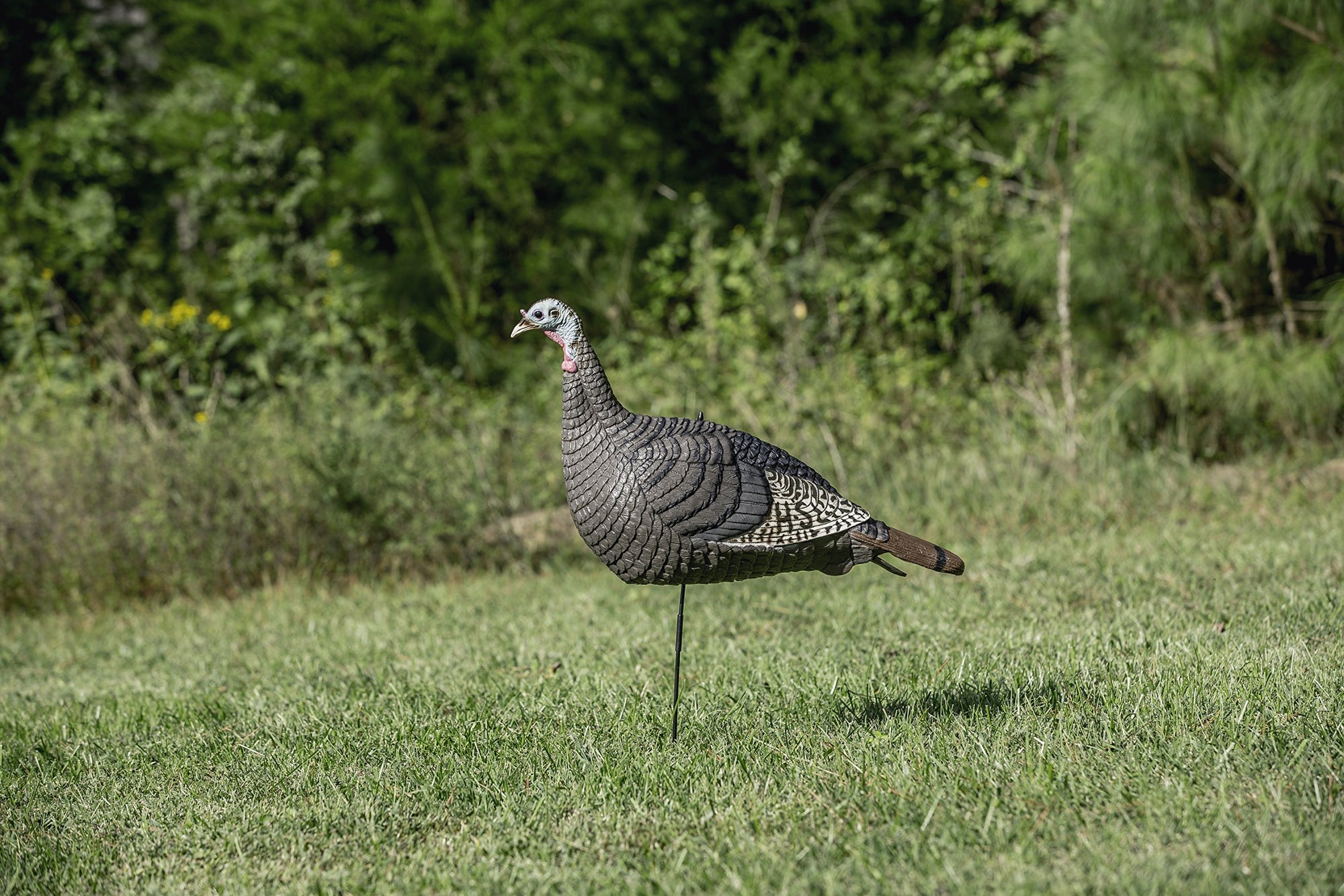 Strut-Lite Hen Decoy, Hunters Specialties 100001,Brown