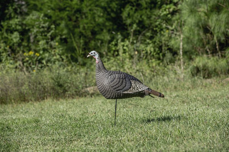 Strut-Lite Hen Decoy, Hunters Specialties 100001,Brown