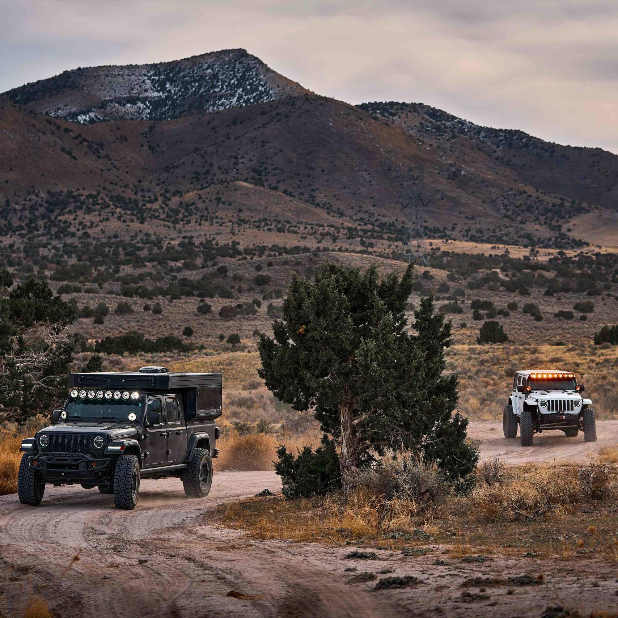 50" KC Hilites Gravity® Titan™ LED Light Bar - 8-Light