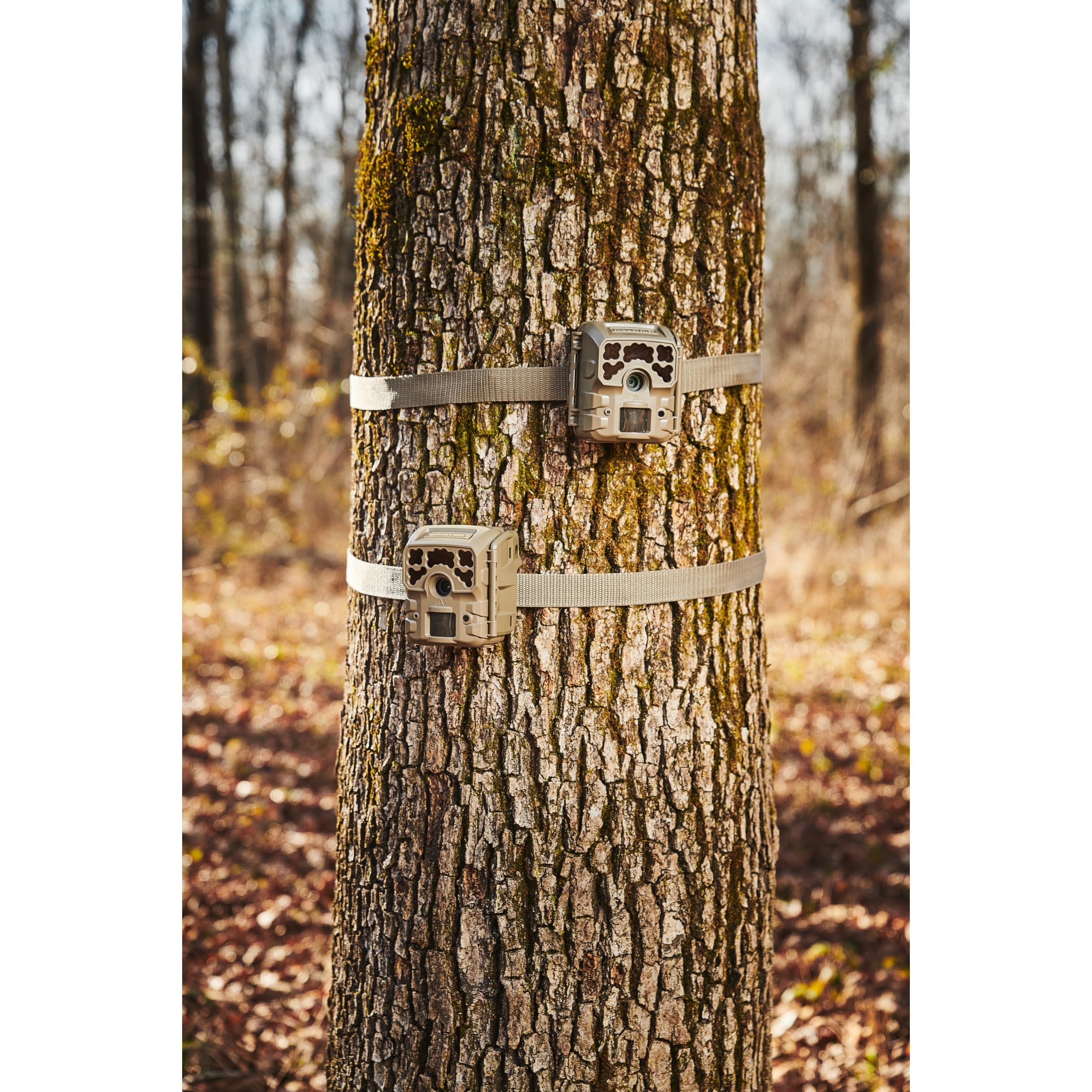 Double Pack Moultrie Micro-32i Trail Camera Kit