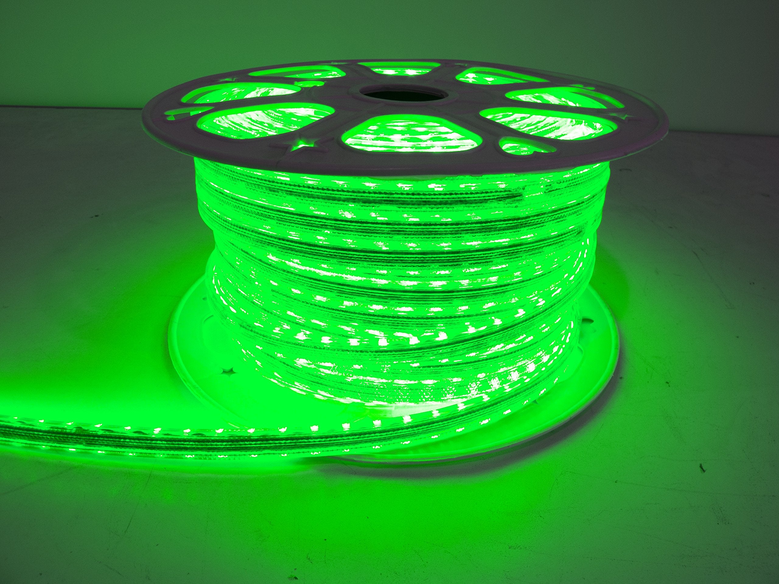 LED Strip Light Race Sport (RS-3528-164FT-G)