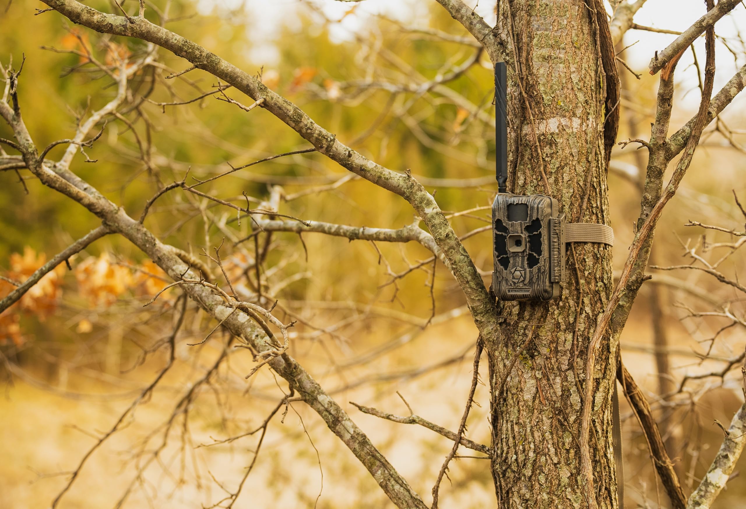 Stealth Cam Deceptor 80ft Detection & IR Range No Glo 40MP Photo 1440P HD Video Capture Remote App Control Wireless Hunting Cellular Trail Camera - Available on AT&T & Verizon