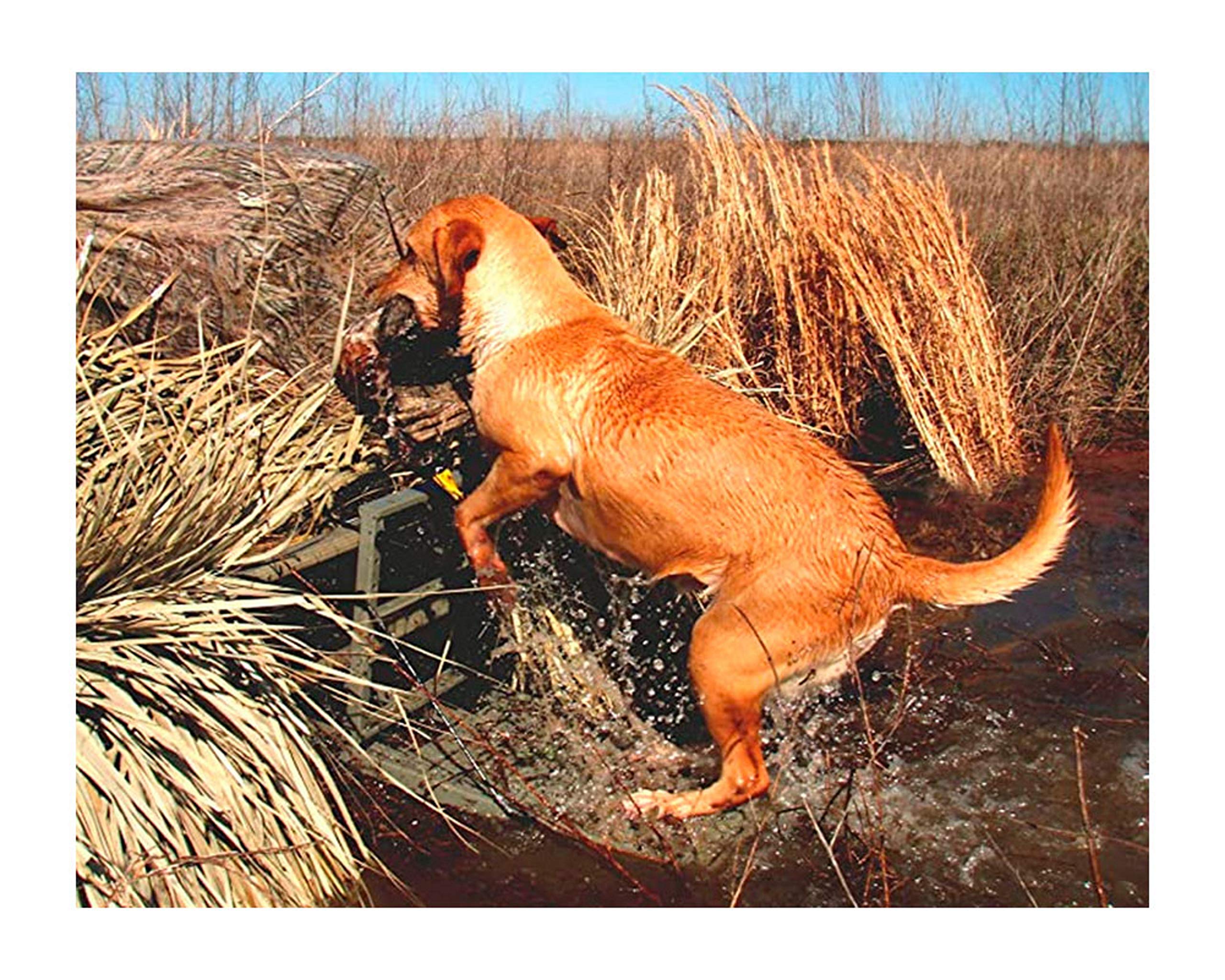 Load-A-Pup HD GREAT DAY 14x20in Robust Safety Pet Loading Platform - for The Hunting Dog - Earth-Tone Gray Powder-Coated Finish - Intended for Use in Fresh Water, LP500HD