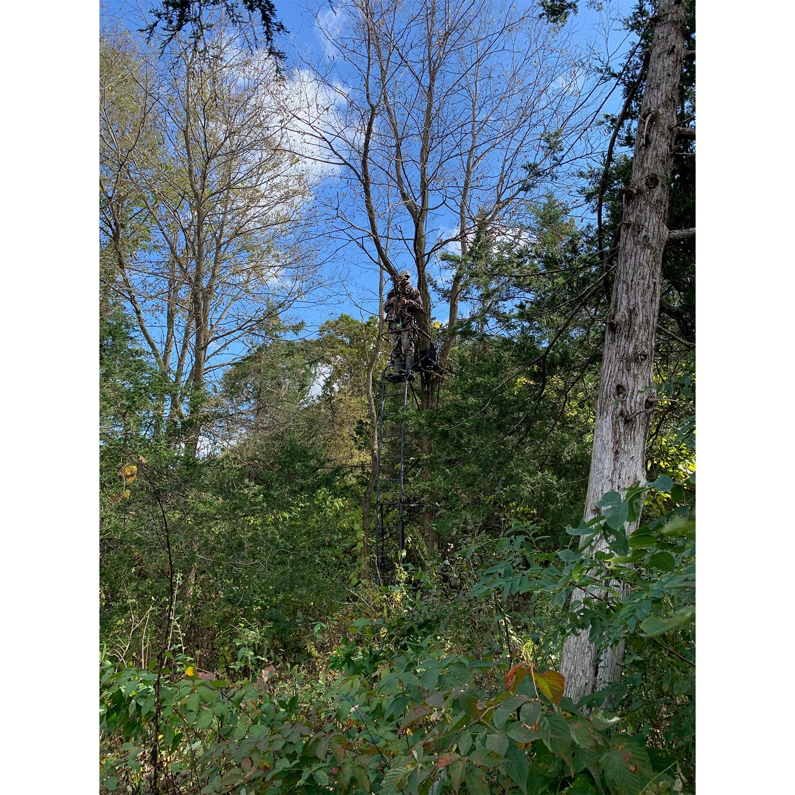 Warrior Elite Big Game Ultra-Wide Ladder Whitetail Deer Elk Mule Above Hunting Outdoors Flex-Tek Seat 17' Tall 1-Person Tree Stand