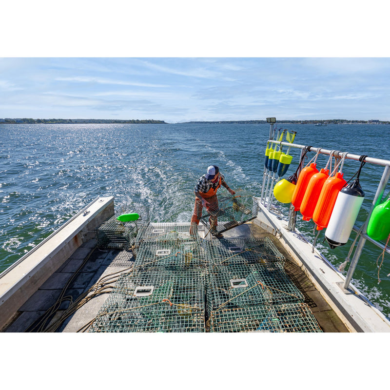 S-1 Polyform Buoy - Purple