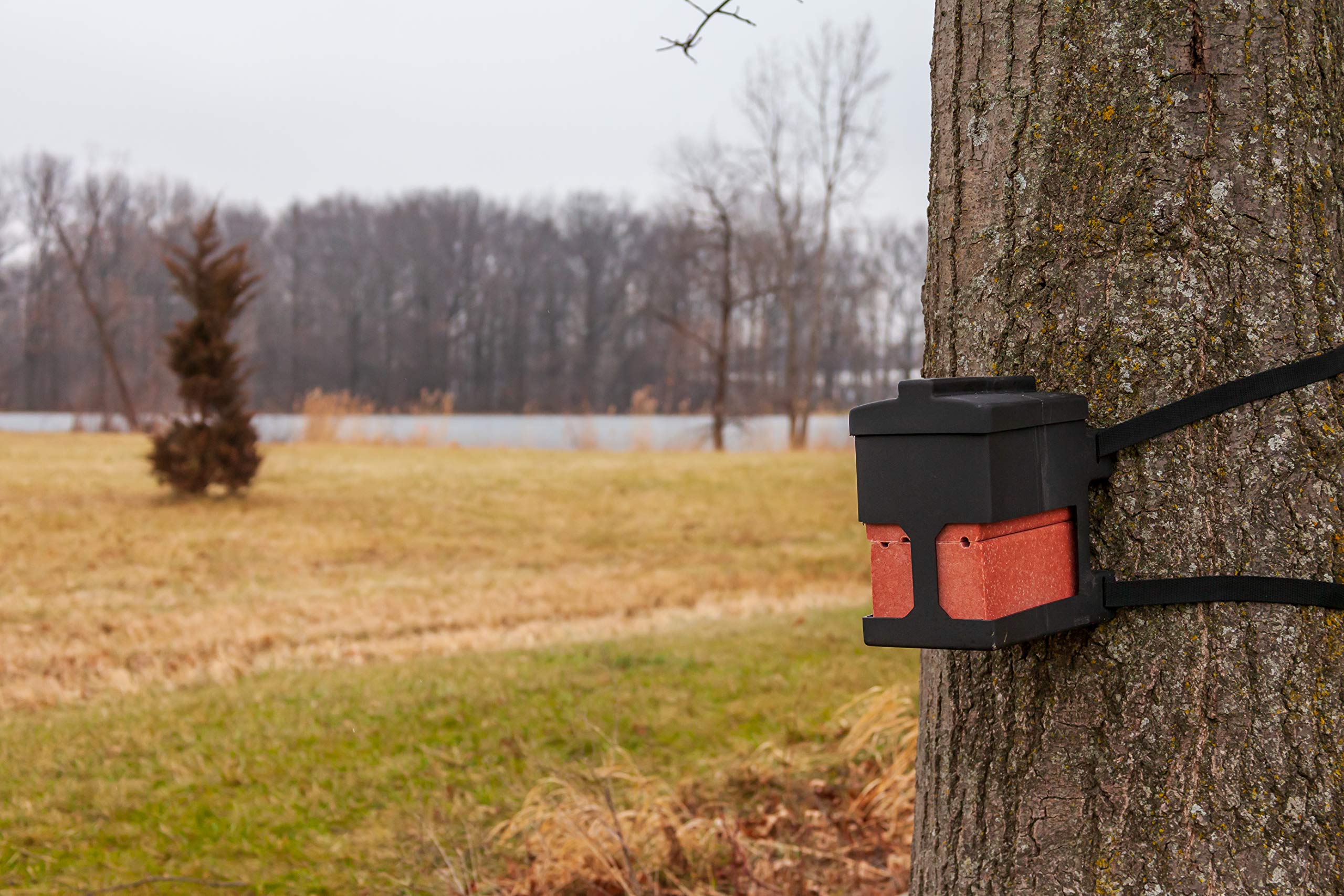 Brick Holder Capsule Feeders for up to Four, 4 lb Salt, Mineral, and Attractant Bricks with Mounting Straps, Black