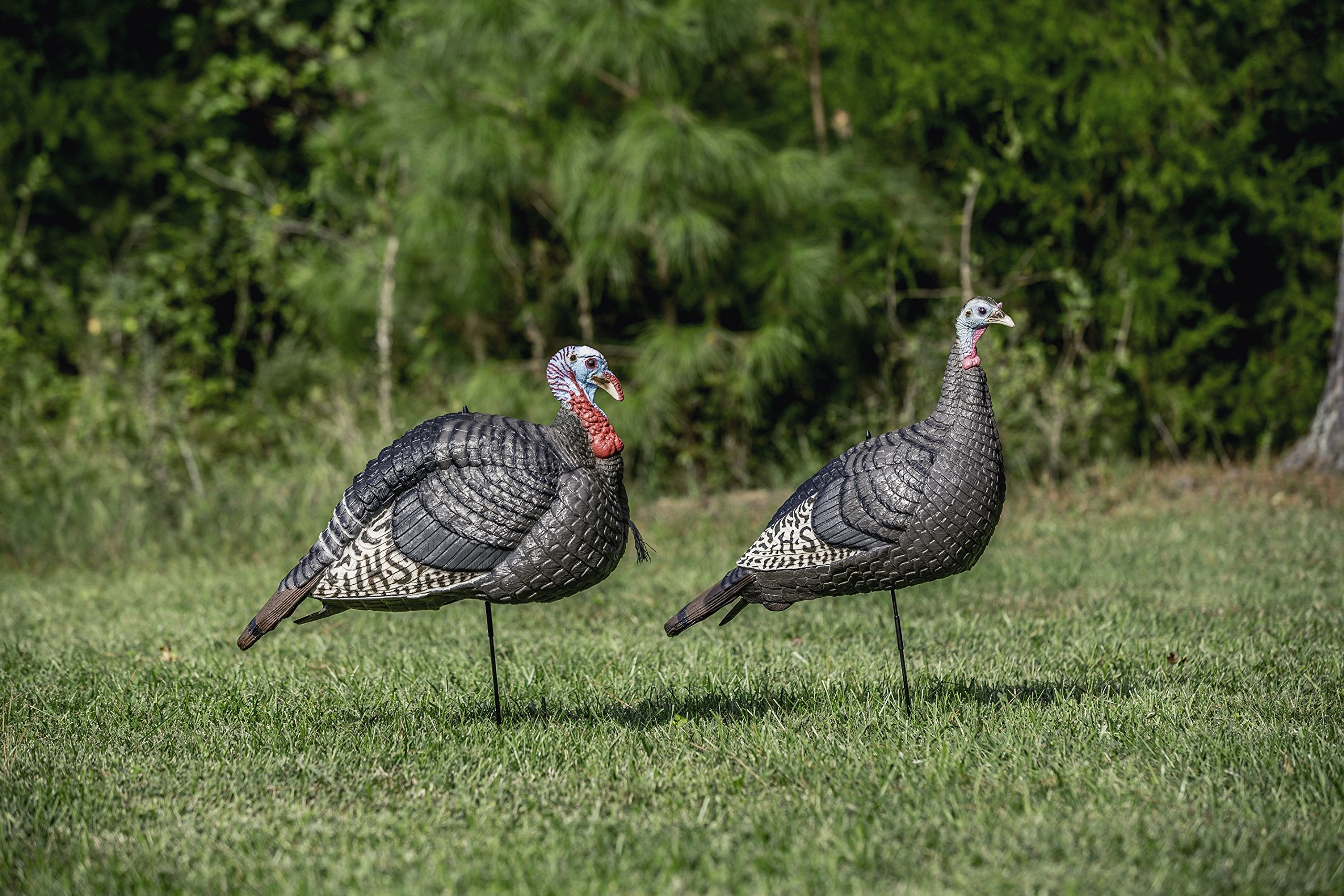 HUNTERS SPECIALTIES Lite Jake & HS Strut Feeding Hen Turkey Foldable Hollow Relaxed Body Realistic 2-Pack Couple Flock Combo Decoys