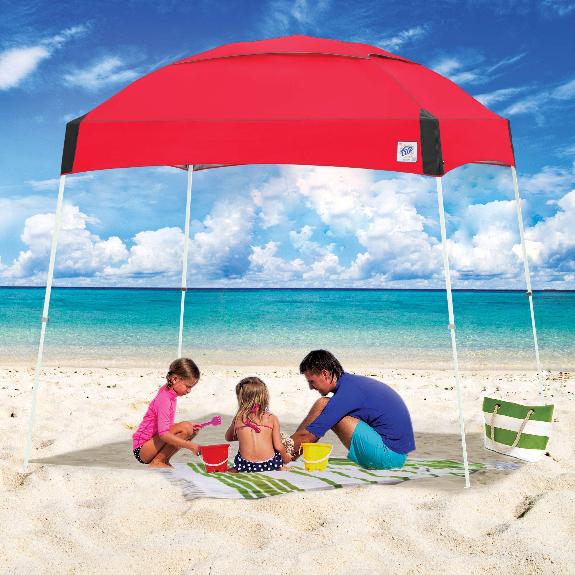 E-Z UP Instant Shelter Dome Canopy, 10' x 10', Vented Top with Wide-Trax Roller Bag & 4 Piece Spike Set, Gray
