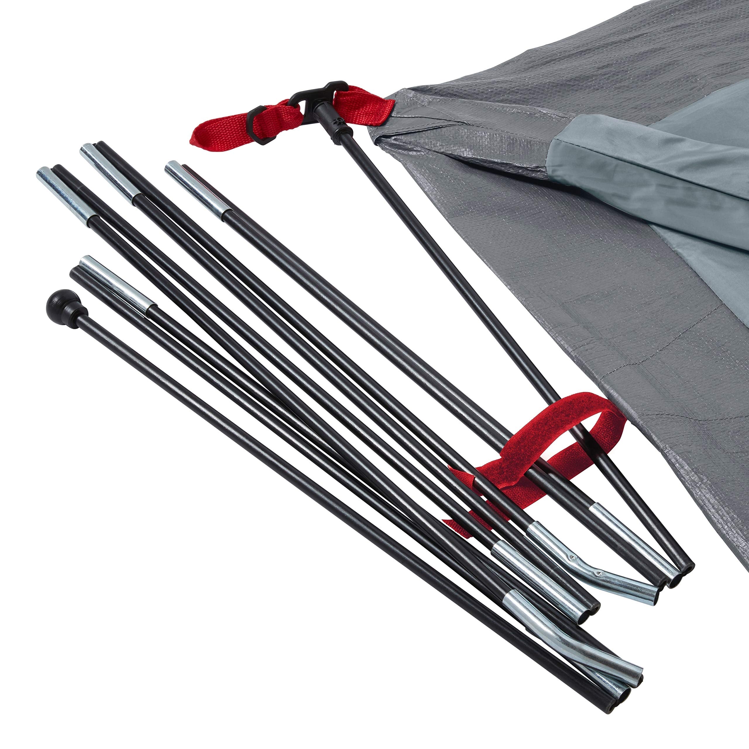 Coleman Camping Tent Skydome with 5 Minute Setup, 2/4/6/8 Person Weatherproof Tent with Rainfly & Carry Bag, 20% More Headroom Than Traditional Canopies