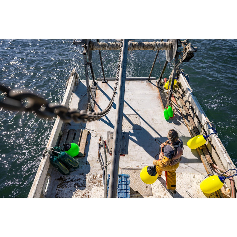 S-1 Polyform Buoy - Purple