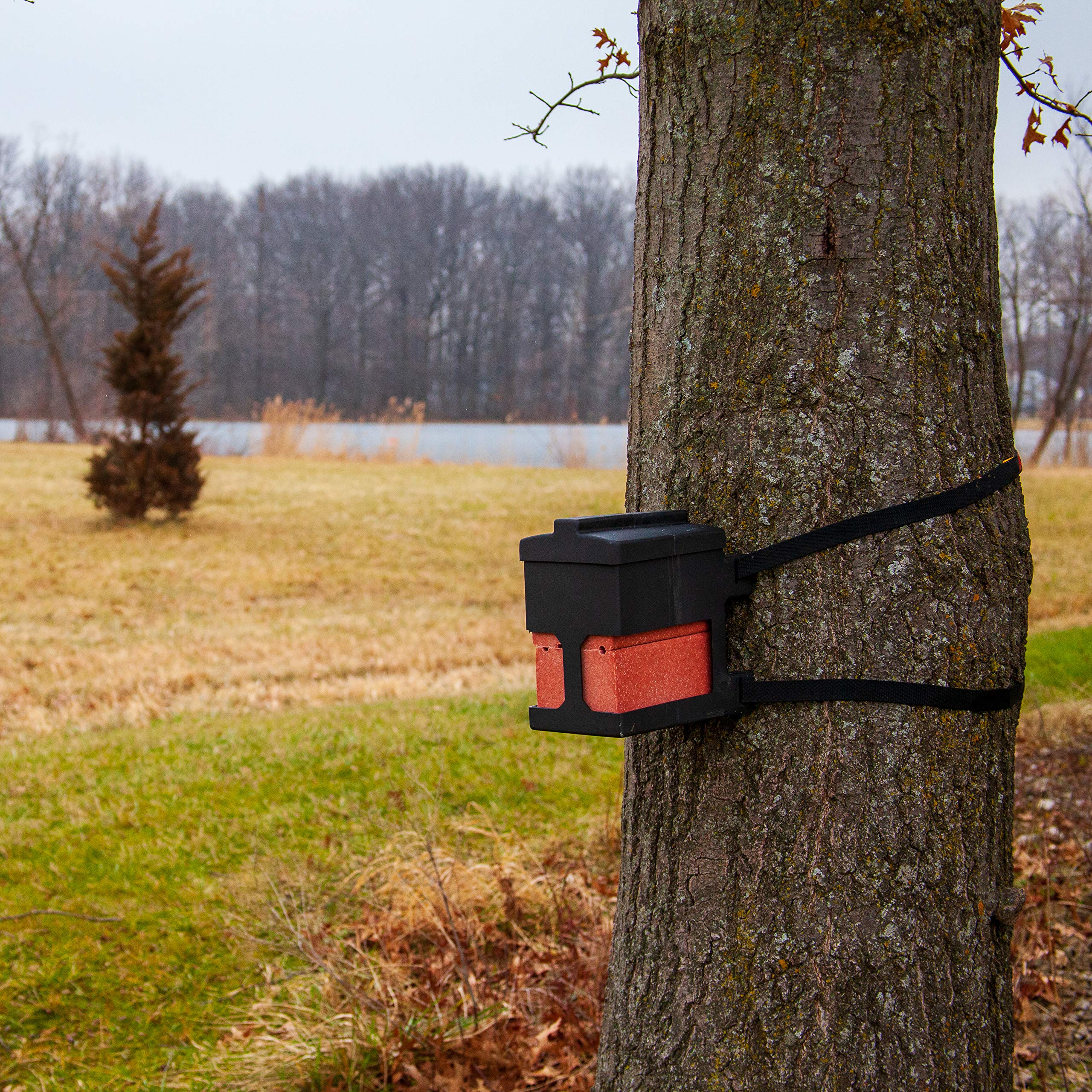 Brick Holder Capsule Feeders for up to Four, 4 lb Salt, Mineral, and Attractant Bricks with Mounting Straps, Black
