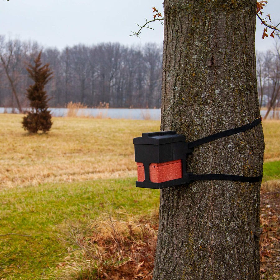 Brick Holder Capsule Feeders for up to Four, 4 lb Salt, Mineral, and Attractant Bricks with Mounting Straps, Black