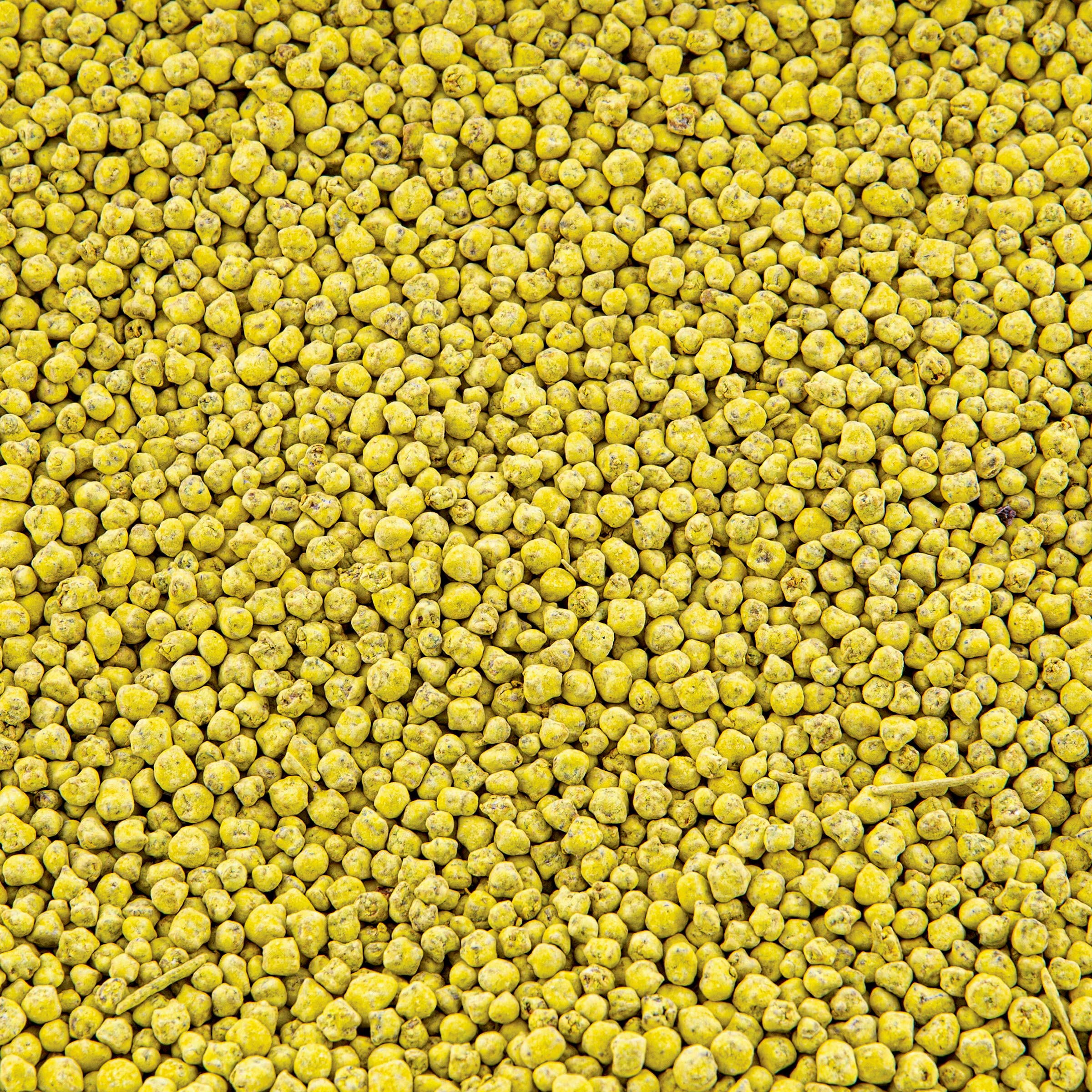 Sugar Beet Evolved Harvest PRO PLOT Mixer 1LB