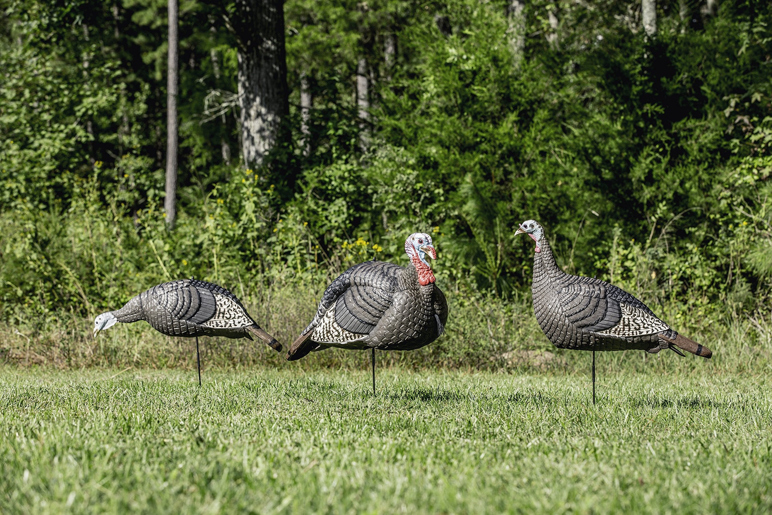 HUNTERS SPECIALTIES HS Strut Lite Flock Jake & Upright Hen & Feeding Hen Turkey Foldable Hollow Relaxed Body Realistic3-Pack Combo Set Decoys