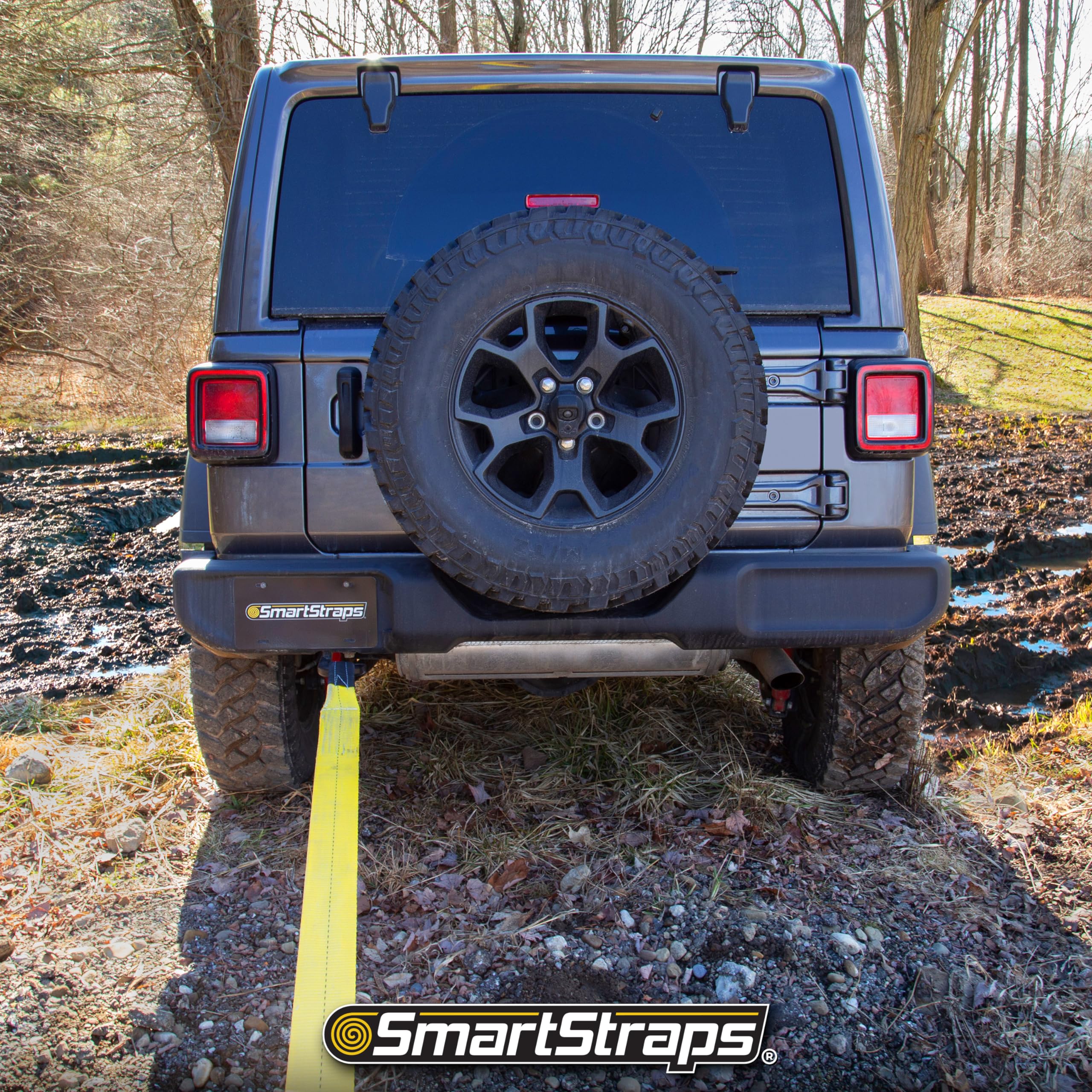 Recovery Strap SMARTSTRAPS - 3x30 YW Strap w Loop End 30,000lb