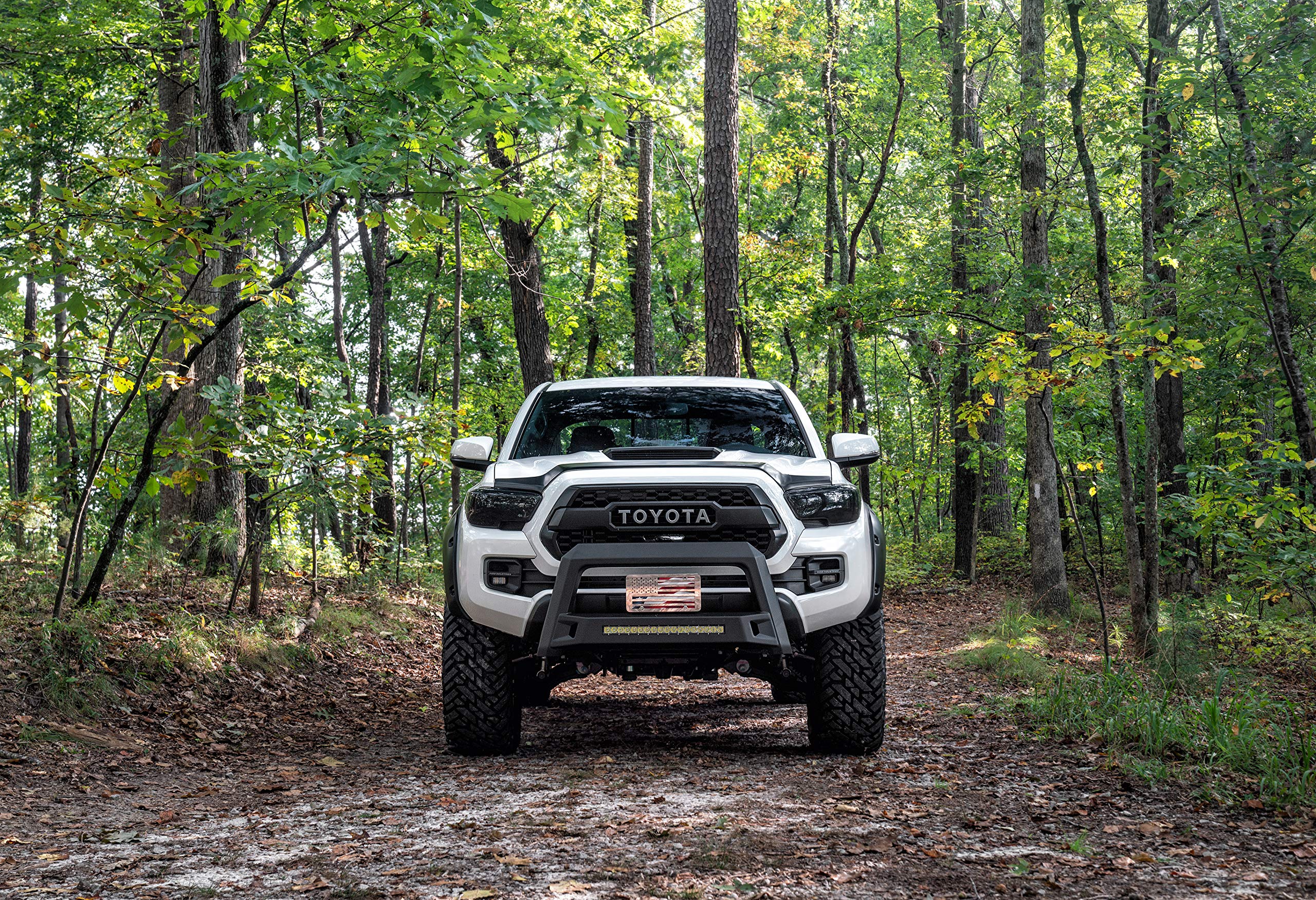 Lund 86521213 RealTruck Revolution Bull Bar with Integrated LED Light Bar, Black Steel for 2016-2019 Toyota Tacoma