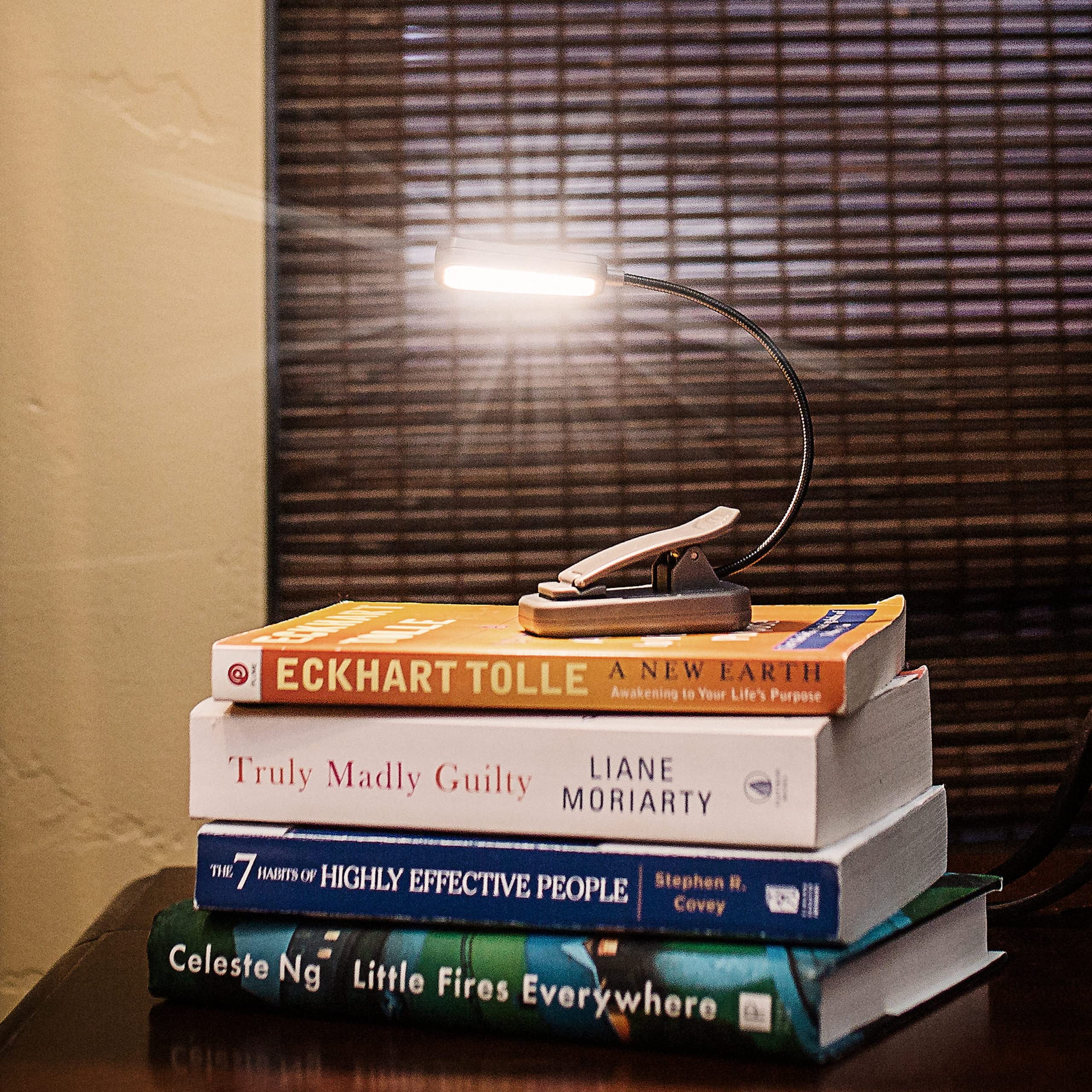 Rechargeable LUXPRO LP178 Warm 6 LED Lightweight Book Light with Convenient Padded Clip