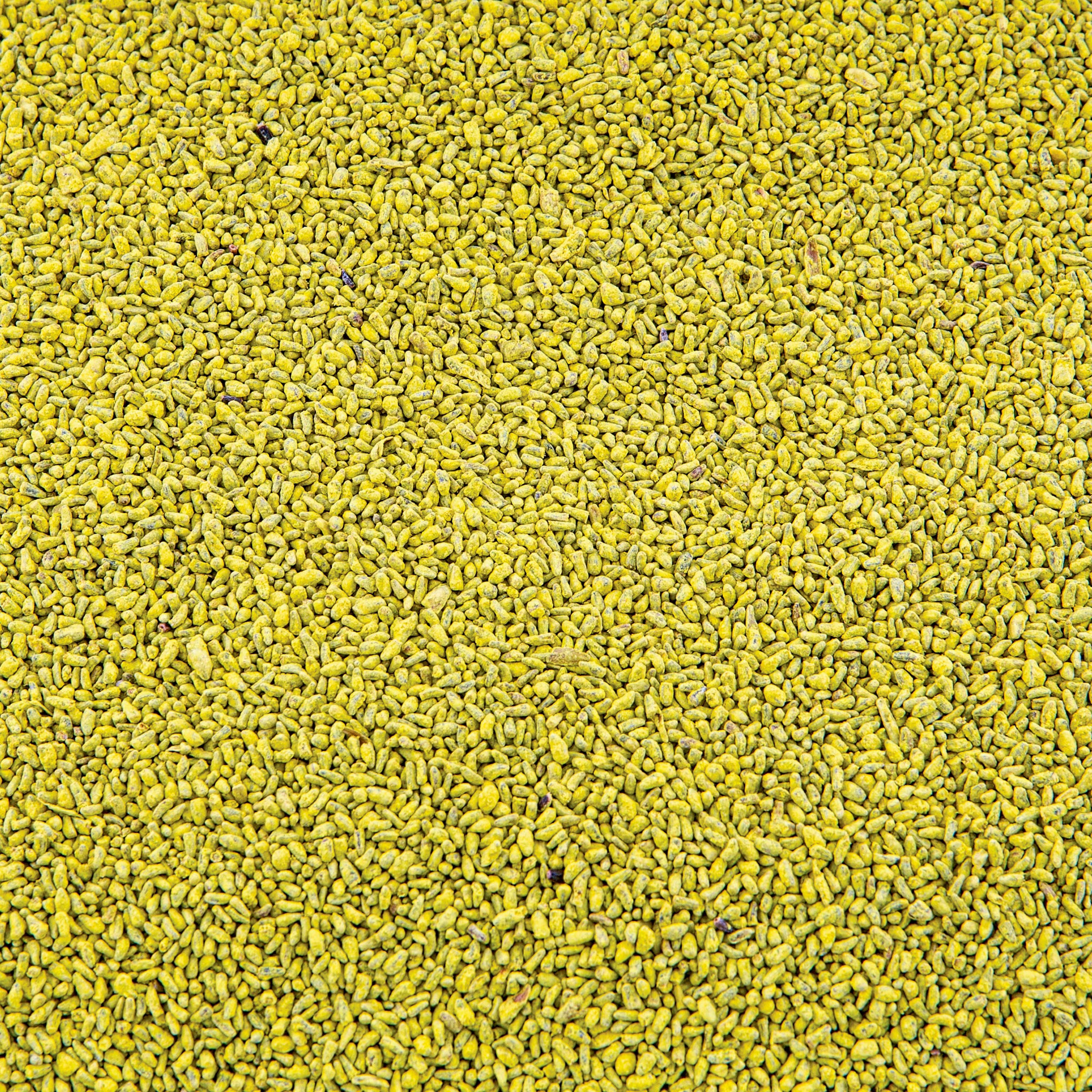 Chicory Evolved Harvest PRO PLOT Mixer 1LB